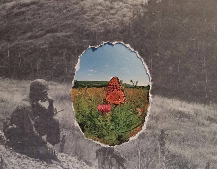 فلطسین، یاسر عرفات، غزه، کرانه باختری، غاده کرمی، لیلاسادات حسینی، بی کاغذ اطراف، الهام شوشتری زاده، نفیسه مرشدزاده، ساف