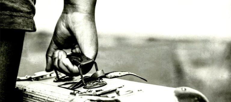 ادبیات غربت، ادبیات تبعید، هرتا مولر، فلاکت روزمره، زندگی میان زبان ها، ارواح ملیت ندارند، به زبان مادری گریه می کنیم، لهجه ها اهلی نمی شوند، یوکو تاوادا، فابیو مورابیتو، ستاره نوتاج، الهام شوشتری زاده، نفیسه مرشدزاده، نشر اطراف